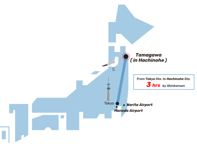 From Tokyo Sta. to Hachinohe Sta. 3hrs by Shinkansen